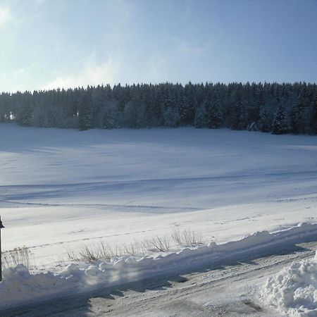 Apartment Sonnenschein Braunlage Extérieur photo